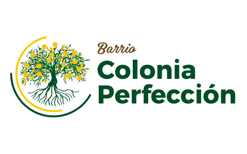 barrio colonia perfeccion